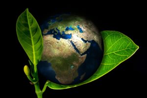 earth nestled in a green leaf image