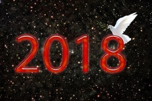 2018 in the cosmos with white dove image 