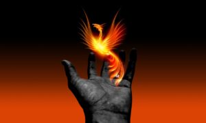 hand embracing rising phoenix image