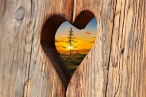 heart with tree and sunset background