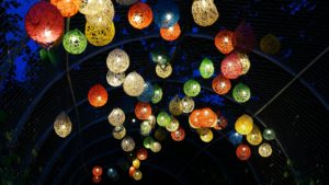multi colored lanterns photo