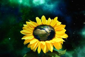 earth in sunflower image