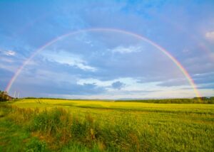 frequencywriter.com ~ April 2021 ~ Noah's Ascension Ark Rainbow