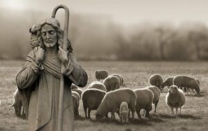 frequencywriter.com ~ April 2021 ~ The Ultimate Shepherd & The Lost Sheep