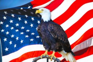 frequencywriter.com ~ October November Energy Update 2021 ~ Eagle Is the National Bird and Symbol of the USA