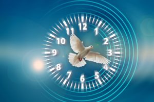 December 2021+ Energy Update ~ Frequencywriter.com ~ Divine Right Timing