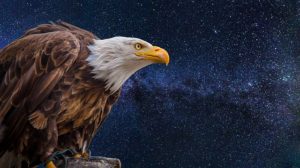 September 2022 ~ Frequency Writer ~ Eagle Harbingers Are Victorious