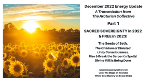 December 2022 Energy Update ~ Frequency Writer ~ Sacred Sovereignty & Free In 2023