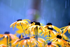 April 2023 Energy Update ~ frequencywriter.com ~ April Showers